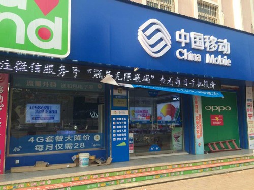 如何查询聊城市冠县一中高一期末考试成绩