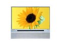 TCL DLP50T6
