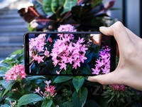 vivo X20株洲尚智通讯售2998元 购机立减