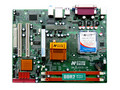 ���� ZM-BLG31D-LM