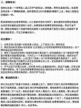 宠物化生、技能搭配等综合分析