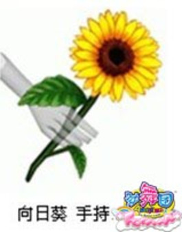 �������š�Ѱ��С������ܾ�������֮�� 