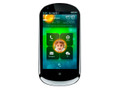 ���� ��Phone��3GW100��