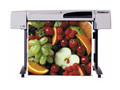 HP Designjet 500(42Ӣ��/C7770B)