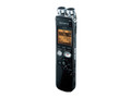 ���� ICD-SX813