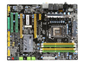 ���� ��־P55T