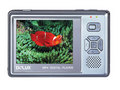 ��� DLA-202C��512MB��