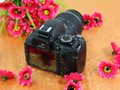 �῵ D3100�׻�(18-55mm VR)