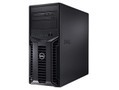 ���� PowerEdge T110(Xeon X3430/2GB/250GB)