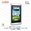 ̨�� P73��8GB��