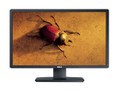 ���� P2412H