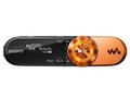 ���� NWZ-B162F�＾�����棨2GB��