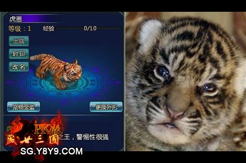 ��ʢ������PK�桷�Ĵ�ְҵȫ����� 