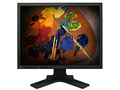 Eizo FlexScan S2100