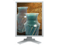 EIZO ColorEdge CG210