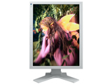 Eizo FlexScan L997 