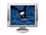 EIZO FlexScan L778 