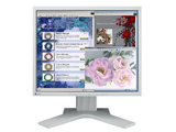 Eizo FlexScan L568-M 