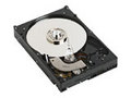 WD WD2500KS ����