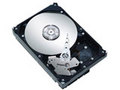 希捷 300G ST3300655SS