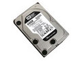 WD 鱼子酱KS 640GB 7200转 32M(串口WD6401AALS)