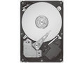 希捷 640GB 7200.11 32MB(串/盒)