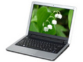 戴尔 Inspiron Mini 12(S510312CN)