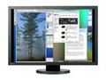 Eizo FlexScan SX3031W