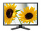Eizo ColorEdge CG301W