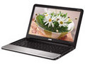 戴尔 Inspiron 灵越13z(I13zD-128
