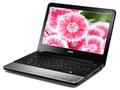 戴尔 Inspiron 灵越11z(I11zD-128
