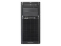 HP ProLiant ML330 G6(600911-AA1)