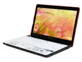 联想 Y450A-TSI(E)白