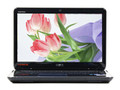 戴尔 Inspiron 灵越 13R(N3010D-1