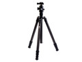 ˼�� N-2204