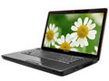 联想 Y450A-TSI(D)灰