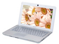 索尼 VAIO W117XC/W