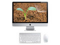 苹果 iMac MB952CH/A