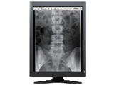 Eizo RadiForce GS220