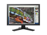 Eizo FlexScan S2233W 