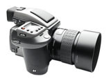 ���� H4D-31