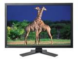 Eizo ColorEdge CG303W