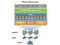VMware Infrastructure Standard for 2 processors ��׼��