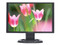 ����� HW191A-BB