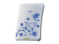 爱国者 青花瓷 H8176(640GB)