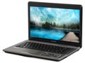 神舟 精盾 K480P-i5G D4