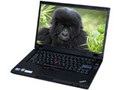 联想ThinkPad T510i(4313A14)