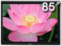 ���� TH-85PF12C