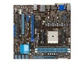 ��˶ F1A55-M LE