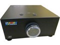 DP CS520